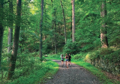 The Importance of Outdoor Spaces and Fields at Community Centers in Westchester County, New York